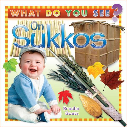 What Do You See on Sukkos